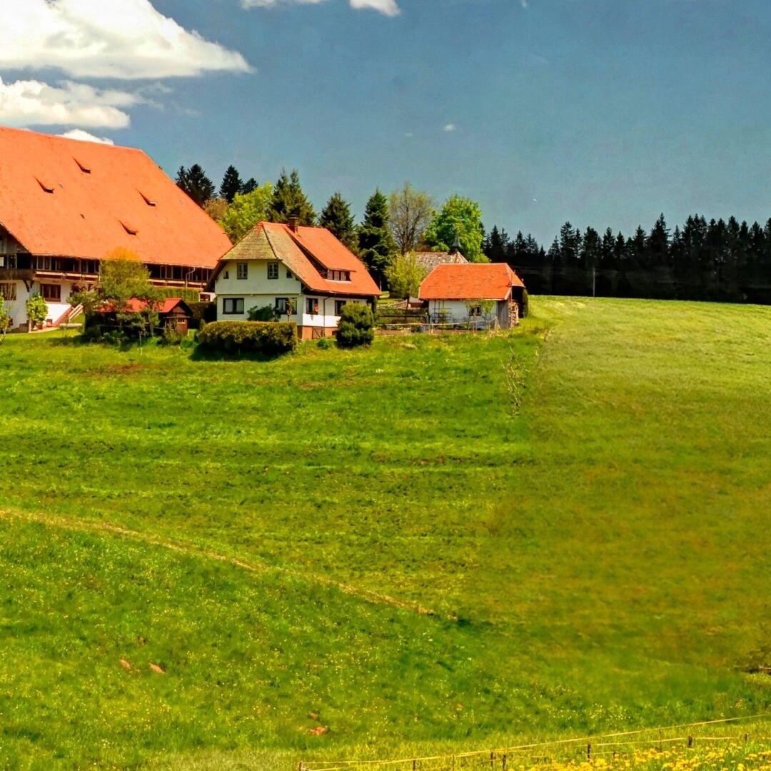 Buying Neighbouring Land